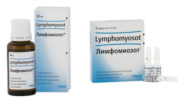 лимфомиозот