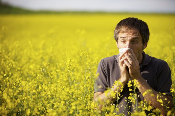 першение в горле и кашель могут быть аллергической природы